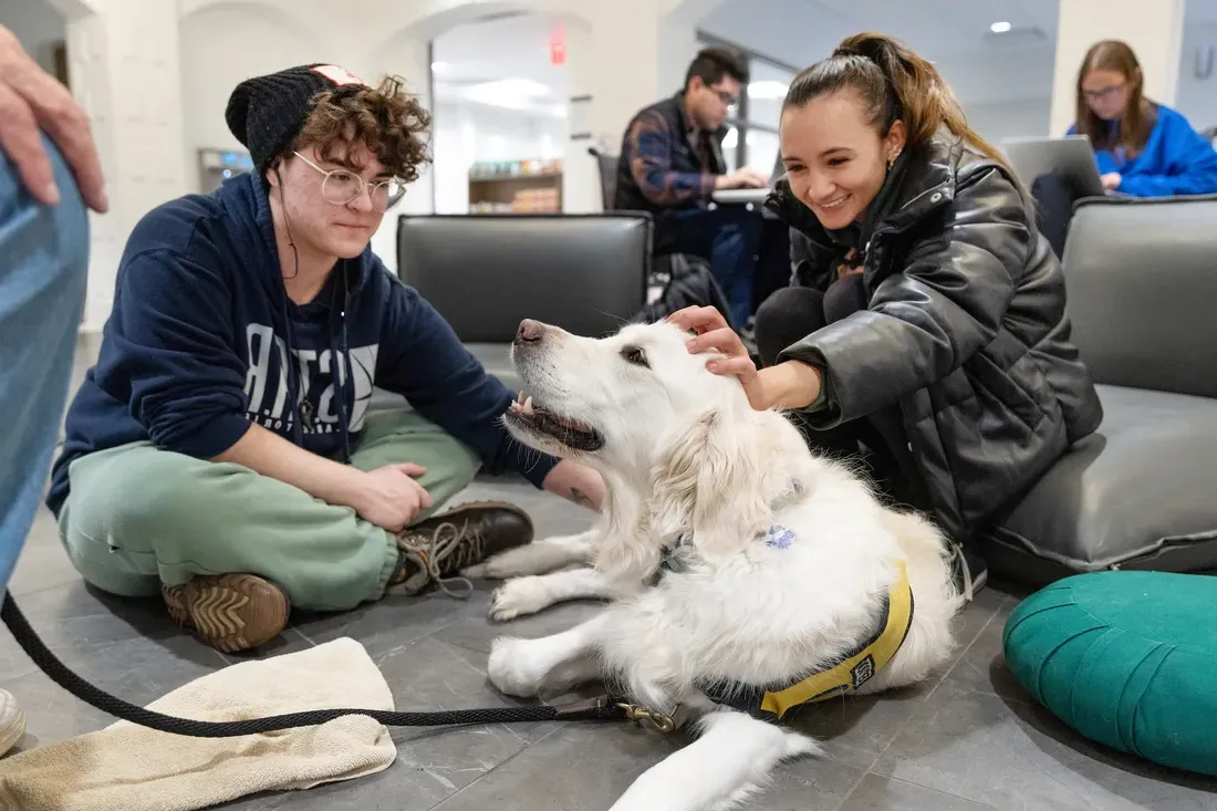 Students playing with therapy dog.
